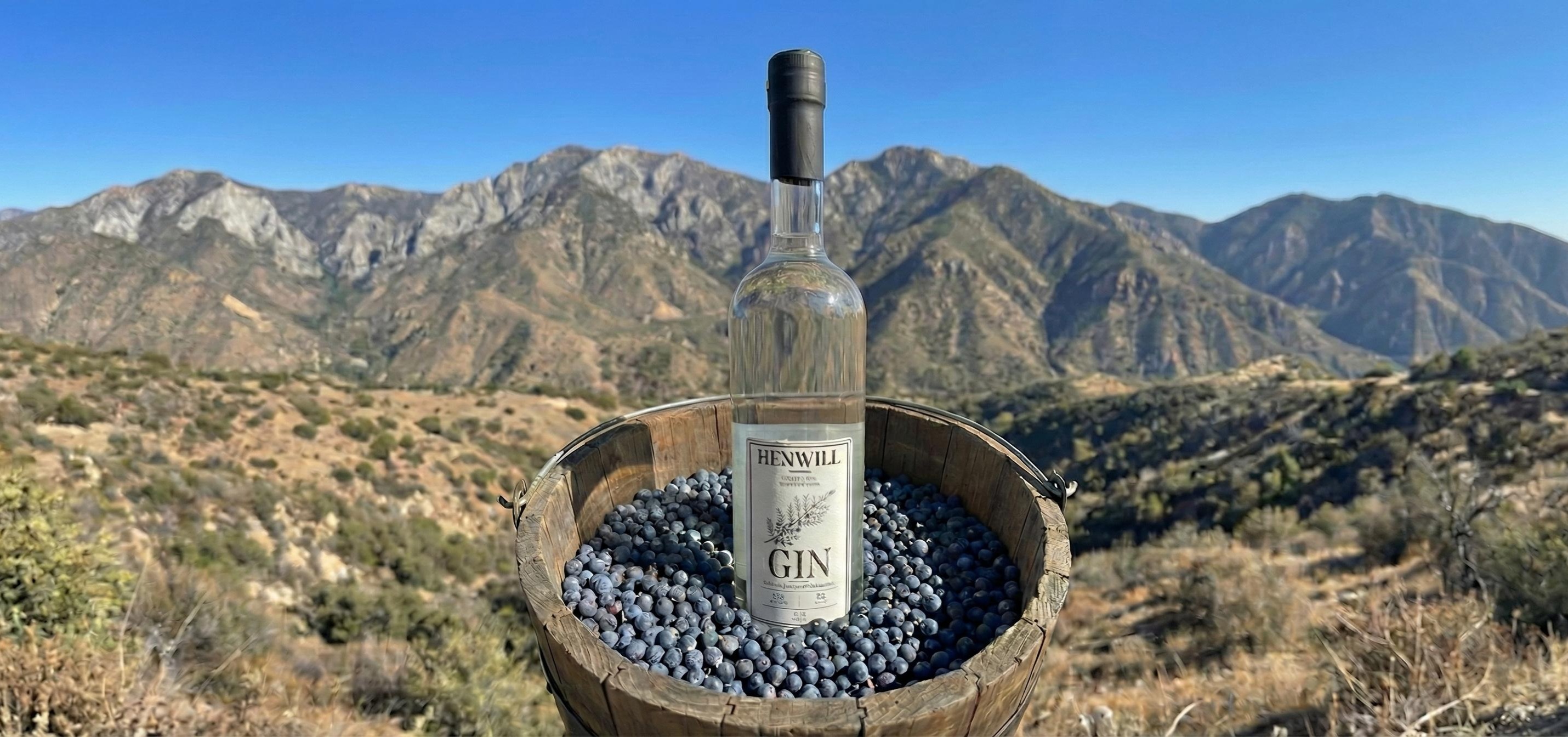 Henwill Gin bottle with wild berries