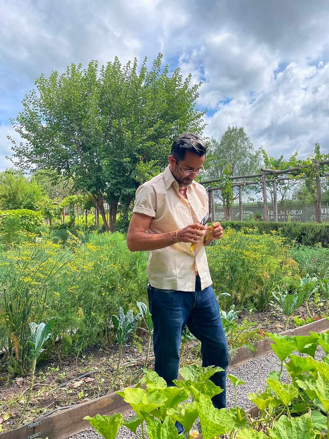 Chef Paul Barbosa harvesting herbs and produce in the garden