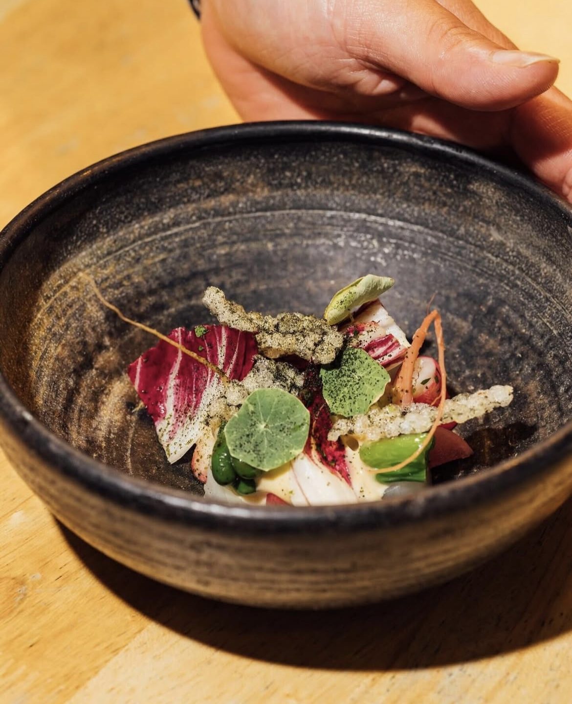 A plated course from Chef Paula Endara: crudo with radicchio, nasturtium and citrus in a dark stoneware bowl